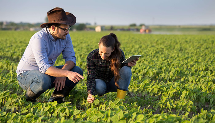 cursos-graduacao-ead-agronomia