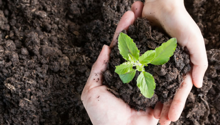 cursos-graduacao-ead-gestao-ambiental